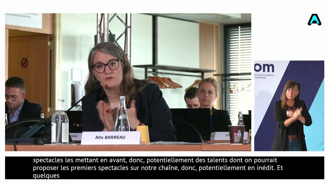 Attribution des fréquences de la télévision numérique terrestre (TNT) : audition du projet "Humour TV"