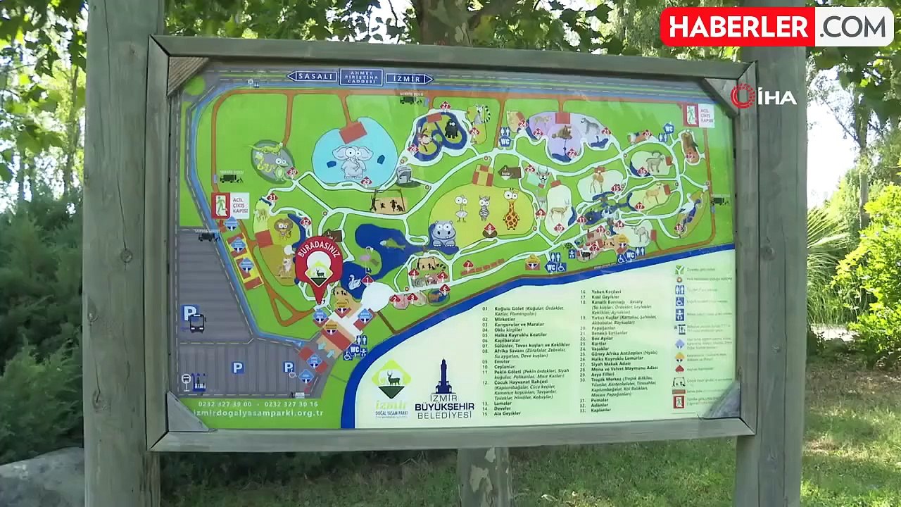 İzmir Büyükşehir Belediyesi Doğal Yaşam Parkı'nda Kakadu Papağanı Ailesinin İlk Yavrusu Dünyaya Geldi