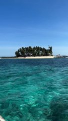 LA PLUS PARADISIAQUE île des Philippines : Daydreaming island