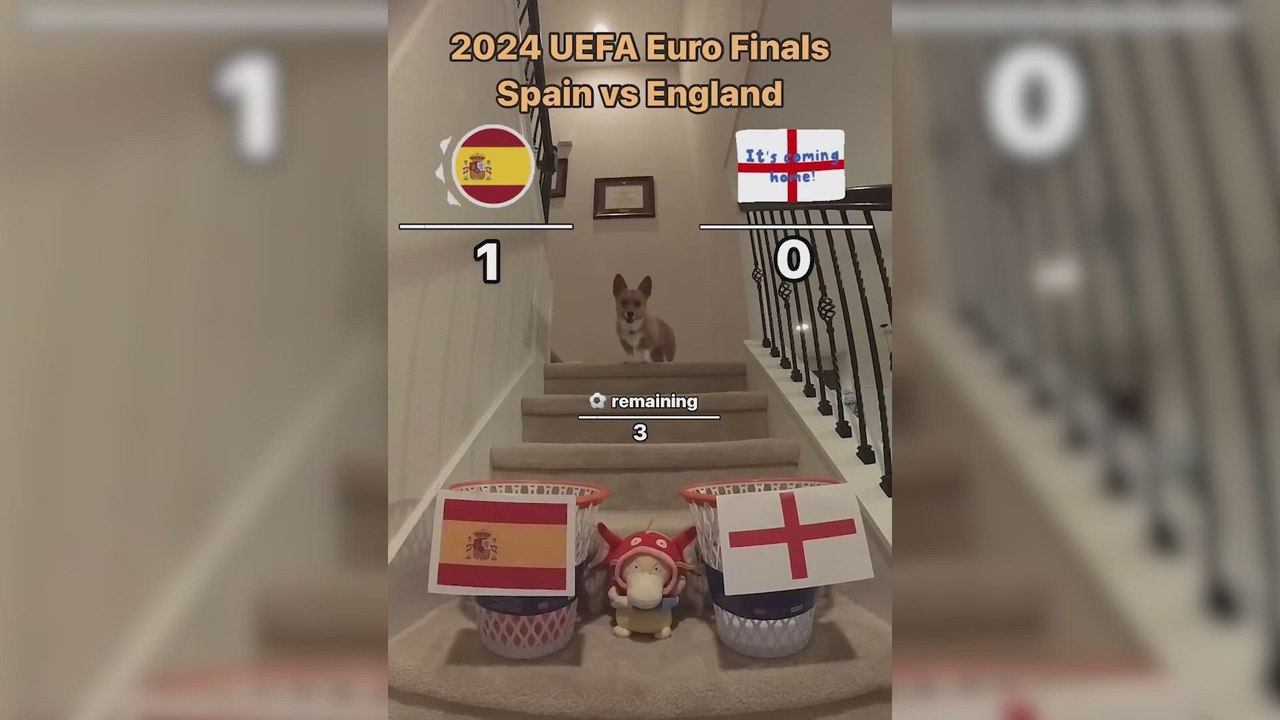 Señoras y señores, el vídeo que todos esperaban: el famoso perro predice el resultado del España vs Inglaterra