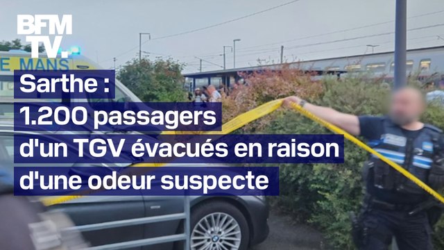 Sarthe: 1200 passagers d'un TGV évacués en raison d'une forte et incommodante odeur dans une rame