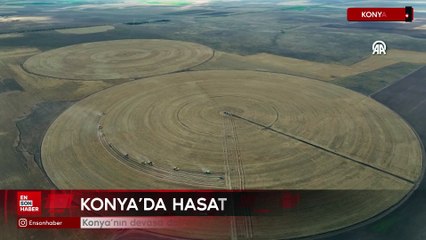 Konya'nın devasa dairesel tarlalarında hasat tamamlandı