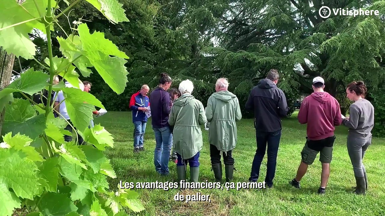 Comment entamer sa diversification dans les vignes ?