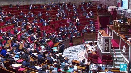Politique en France : qu'est-ce qu'un groupe parlementaire à l'Assemblée ?