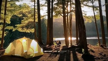 8 TRUE Scary Horror Stories Compilation