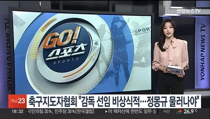 축구지도자협회 "감독 선임 비상식적…정몽규 물러나야"