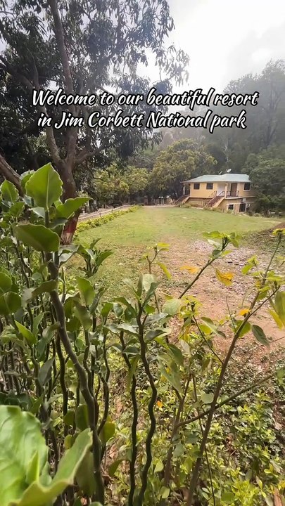 Best Resort in Jim Corbett
