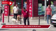 Bağlama ustasının yoldaşı, kuzu, köpek ve oğlak oldu