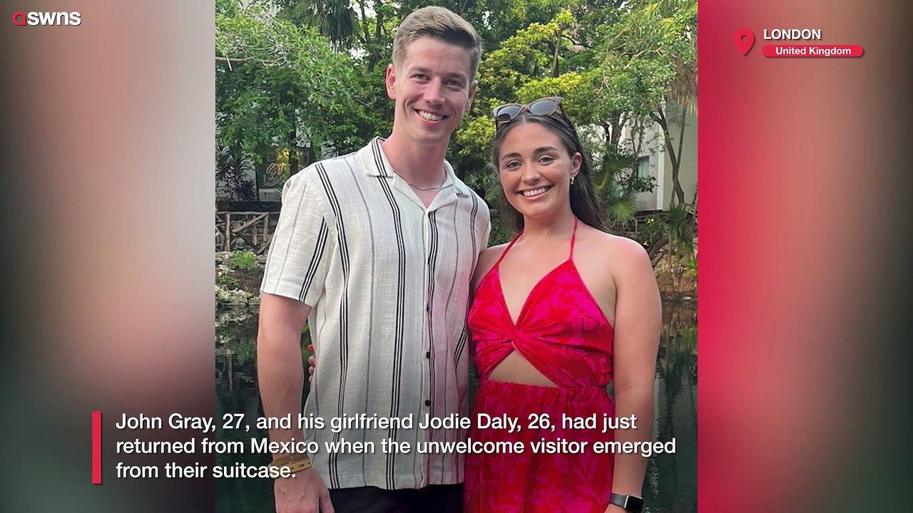 Couple left terrified after “venomous” scorpion stowaway emerges from suitcase