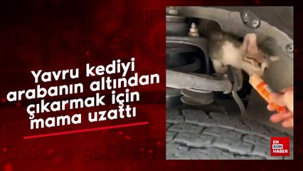 Yavru kediyi arabanın altından çıkarmak için mama uzattı