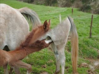 pour toi, en souvenir de ce super séjour jtm fort