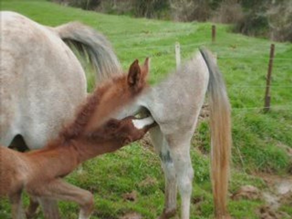 pour toi, en souvenir de ce super séjour jtm fort