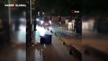 Turistler sıraya girdi: Aç kalan yavru ayı Uzungöl'de