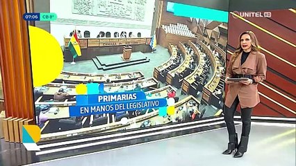 Video herunterladen: Suspender las primarias no garantiza las elecciones judiciales, dice analista político