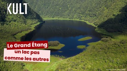 Grand Étang : un lac pas comme les autres