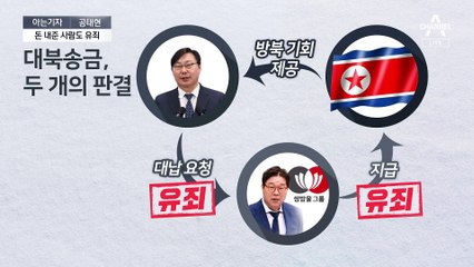 [아는기자]대북송금 또 유죄…형량 차이, 왜?