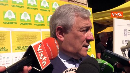 Tajani: "Sosteniamo l'Ucraina, ma non siamo in guerra con la Russia n? manderemo nostri soldati"