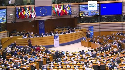 Percentage of women in the European Parliament has fallen for the first time in 45 years