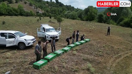 Kastamonu'da doğaya 900 keklik salındı
