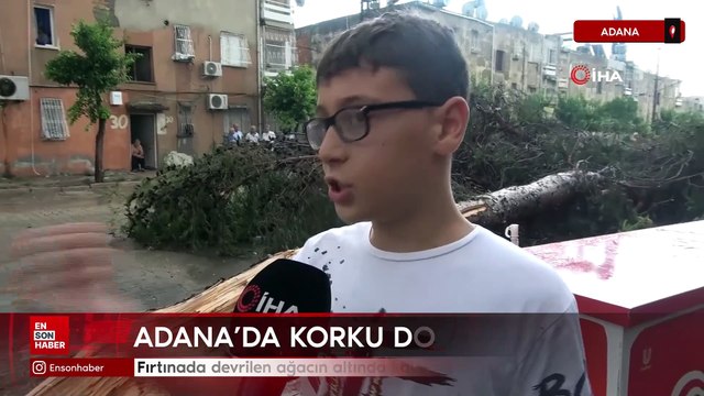 Adana'da çocuk fırtınada devrilen ağacın altında kalmaktan son anda kurtuldu