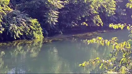 Parabiago, riaffiora un cadavere dal canale Villoresi