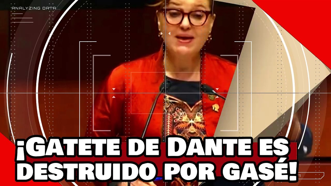 ¡VEAN! ¡Gatete de Dante es aniquilado por la Marisol GaSé por atacar la reforma al poder judicial!