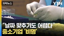 [자막뉴스] 배도 못 구해 발 동동...악재에 우는 중소기업들 / YTN