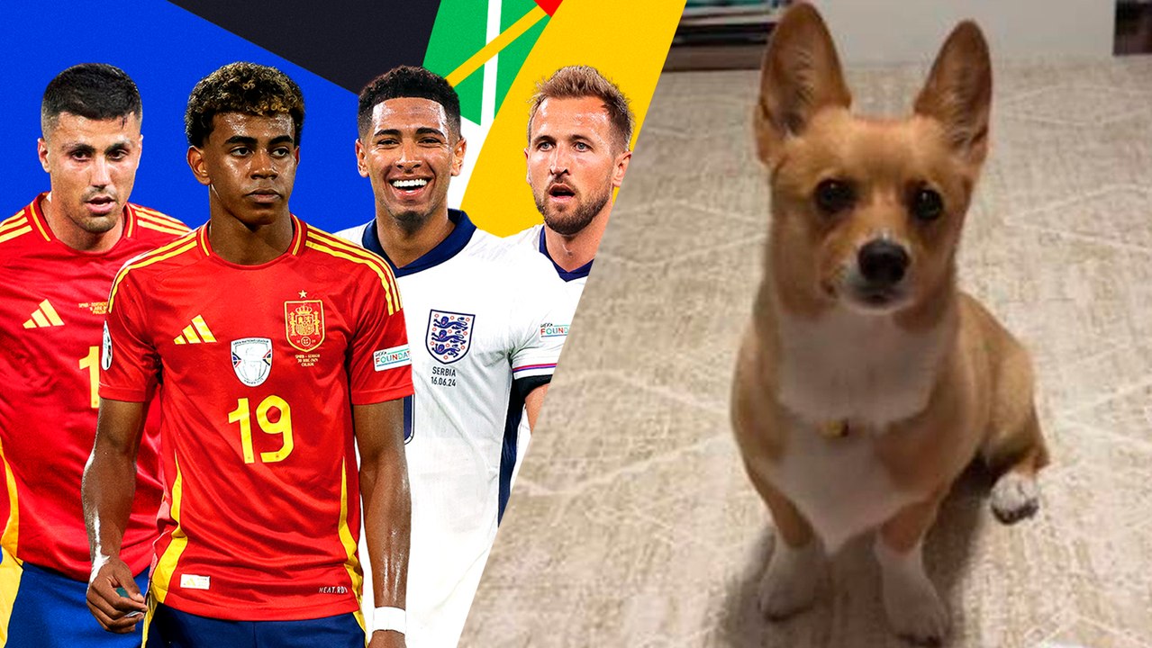 Steph: el perro que predijo el ganador de la Champions, tiene claro quien será el proximo campón de la eurocopa 2024