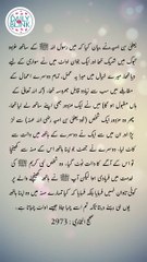 Daily Hadees | Hadees Sharif | Sahih Bukhari 2973 || Daily Blink #shorts #hadees #hadith