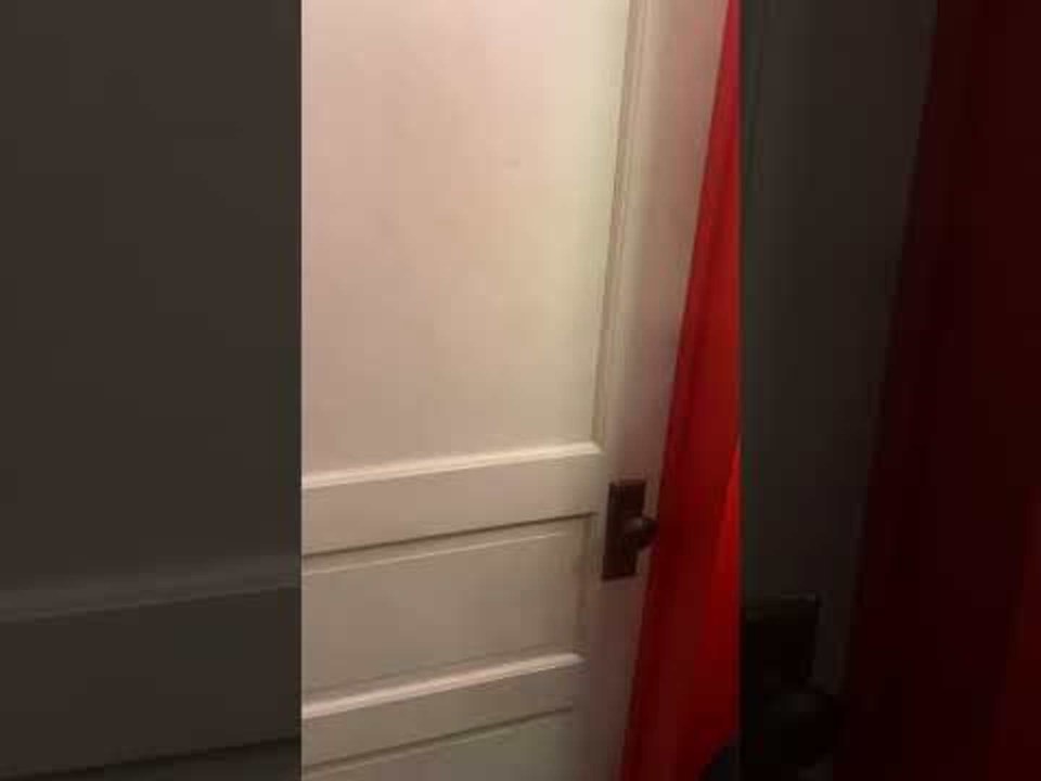 Little Kid Screams Hilariously While Sitting on Toilet