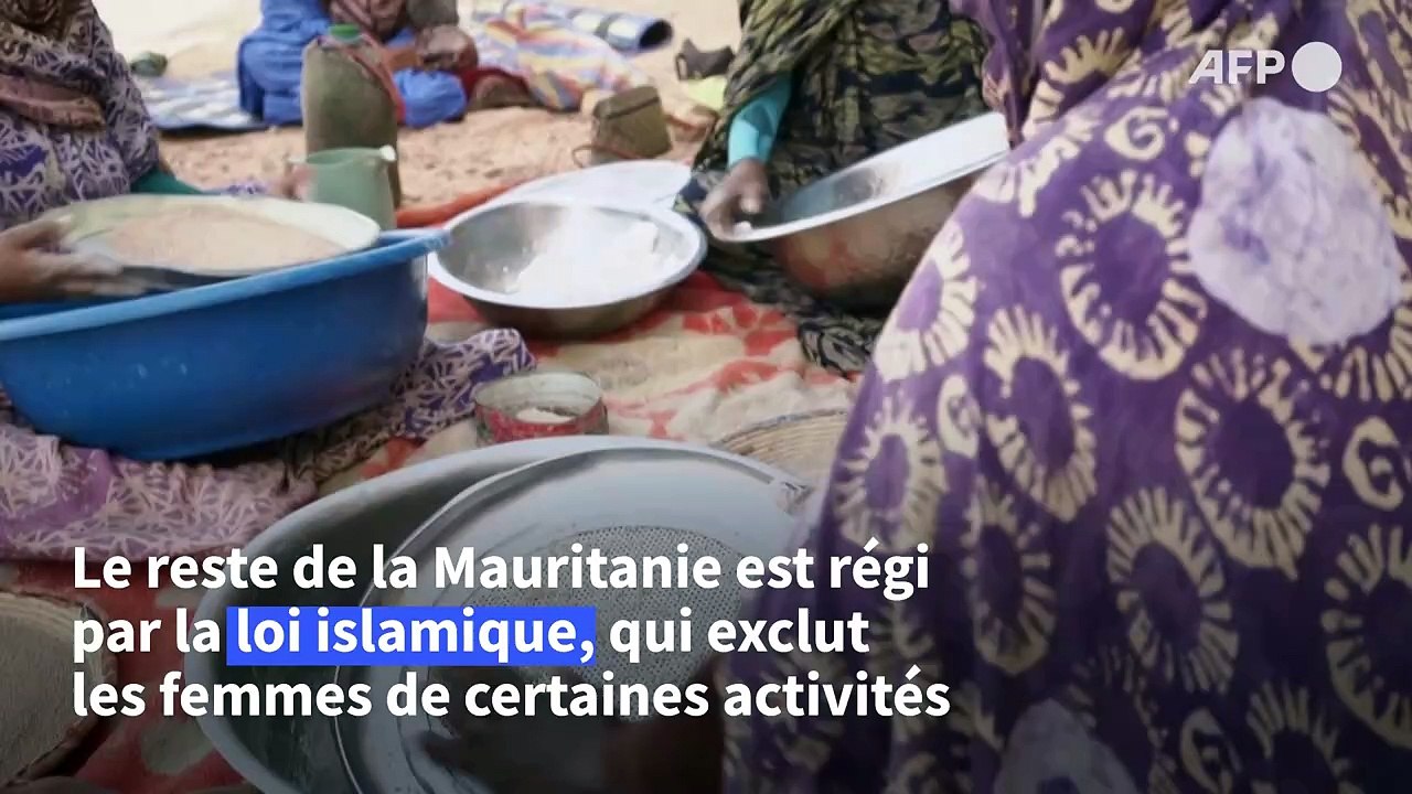 Mauritanie: entre dunes et montagne de Mauritanie, l'oasis de Maaden, utopie fraternelle