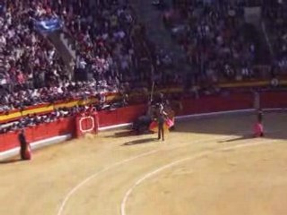 Corida Cheval
