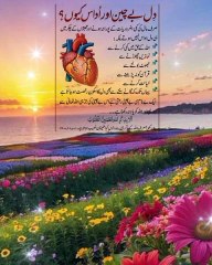 Motivational,namaz,quran,azkar,huqooq ul ibad, huqooq Allah