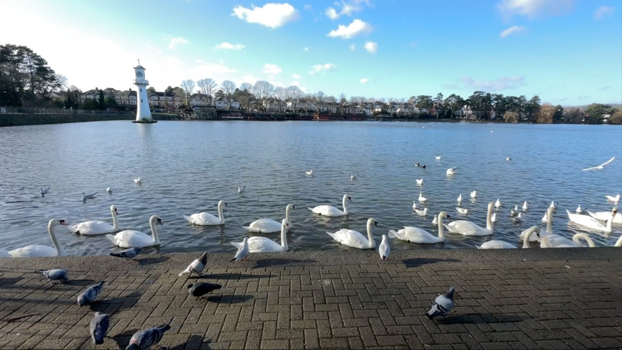 Your summer guide to Cardiff