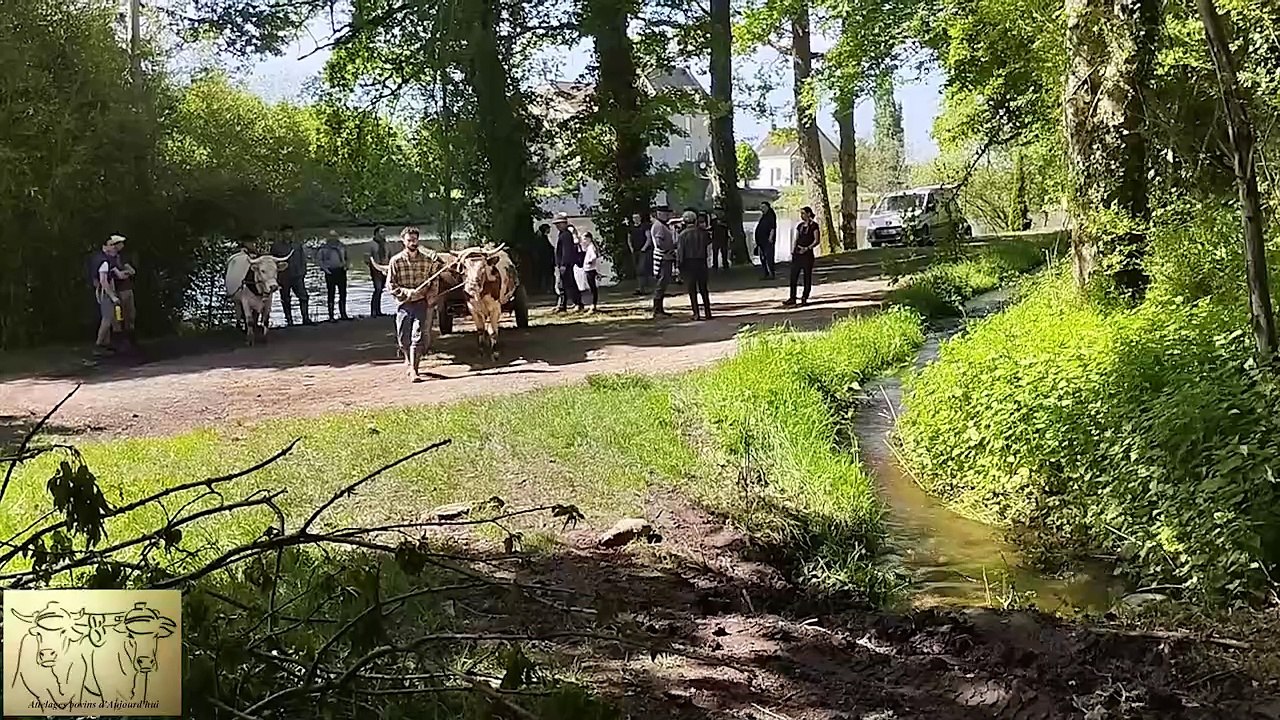 Rencontre 2024 des bouvières et bouviers de France à Châtelus-Malvaleix