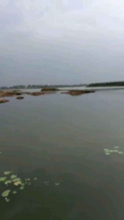 pond spot