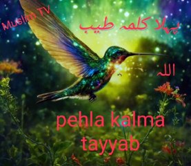 پہلا کلمہ طیب