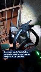 BOMBEIROS DE GOIATUBA RESGATAM CACHORRO PRESO NA GRADE DE PORTÃO