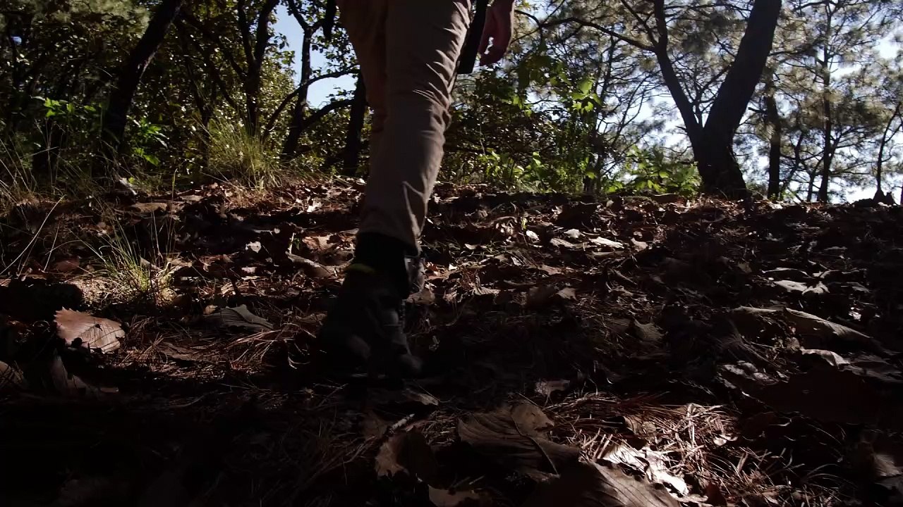 mixkit-man-walking-through-forest-86-full-hd