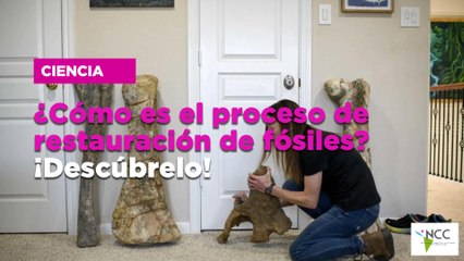 En México desarrollan anticuerpos para el tratamiento de queratitis