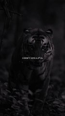 "Rise Above: Silence the Haters"