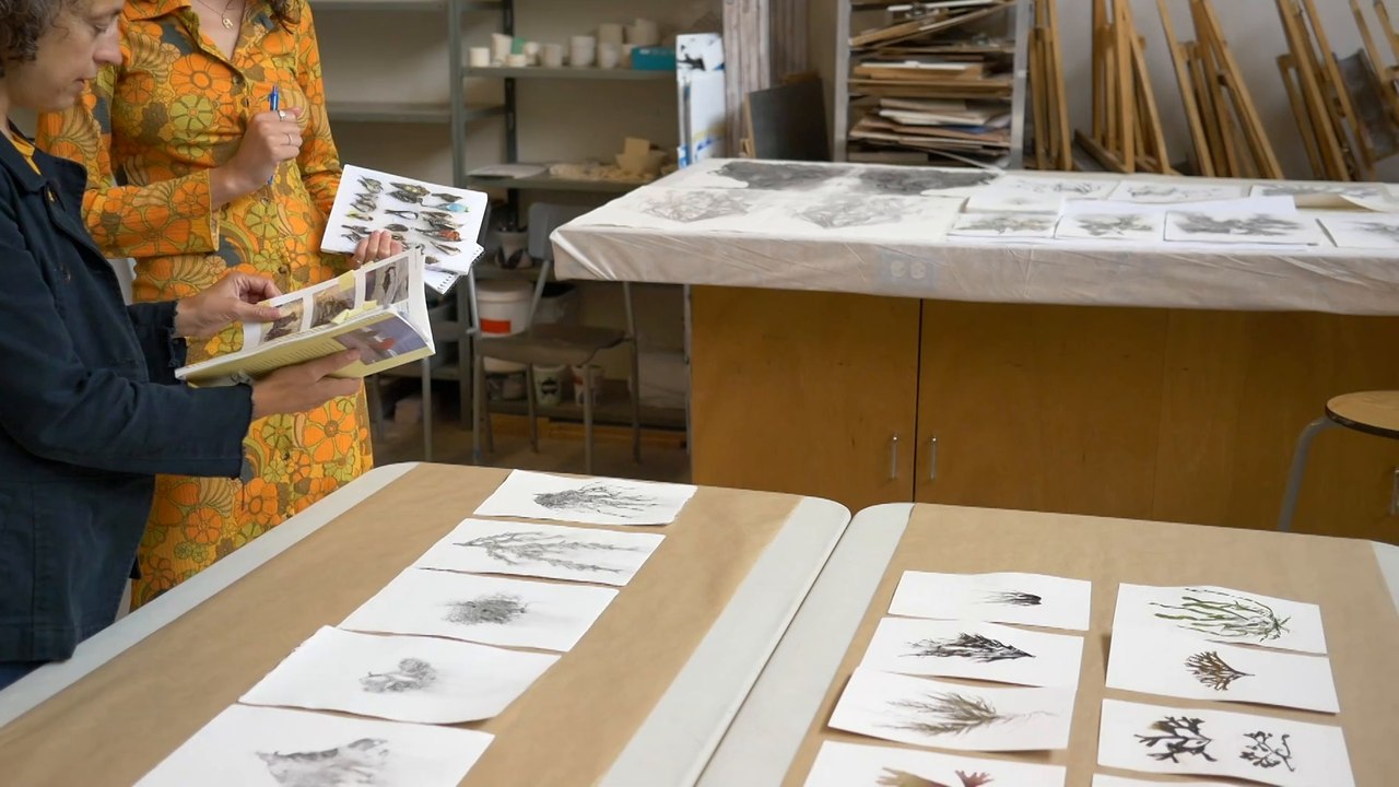 Mélissa Longpré en résidence au Centre d’artiste Vaste et Vague : Une exploration artistique des algues de la Baie des Chaleurs