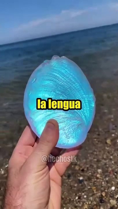 Curiosidades aleatorias que harán explotar tu mente! #curiosidades #datoscuriosos (1)