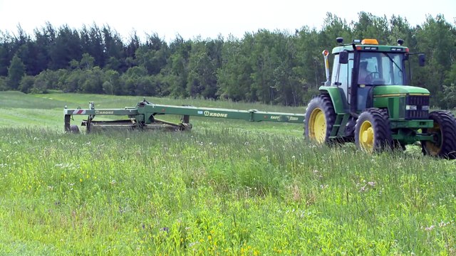 Récolte des foins: Une saison marquée par la qualité et la quantité