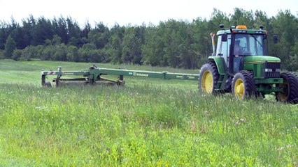Récolte des foins: Une saison marquée par la qualité et la quantité