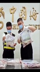 Intento de Contrabando: Más de 100 Serpientes Encontradas en la Aduana de Shenzhen