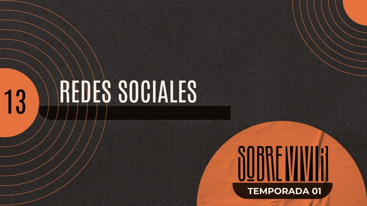 13 REDES SOCIALES