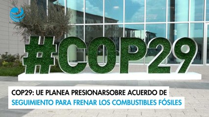 Download Video: COP29: UE planea presionar sobre acuerdo de seguimiento para frenar los combustibles fósiles