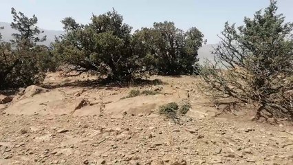 Les montagnes sont des reliefs naturels caractérises par leur altitude significative et leurs pentes abruptes