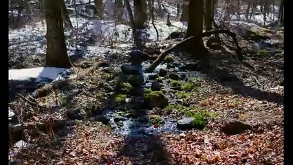 Зло не существует | movie | 2023 | Official Trailer